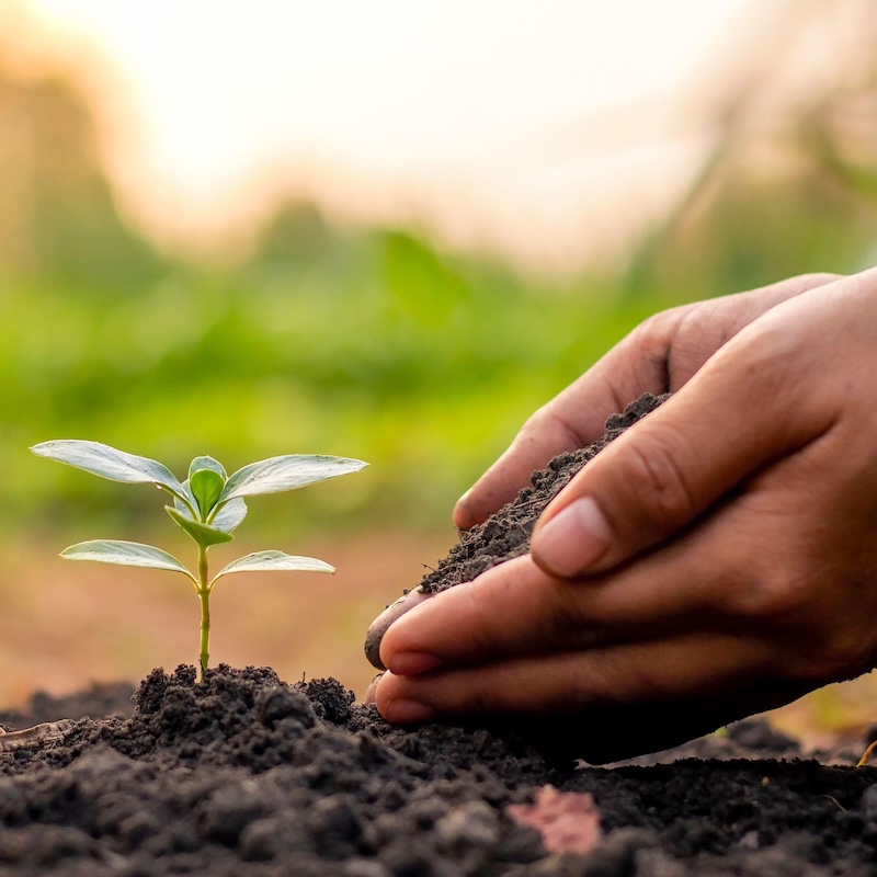 Hand refuelling a vehicle with a diesel fuel pump nozzle.