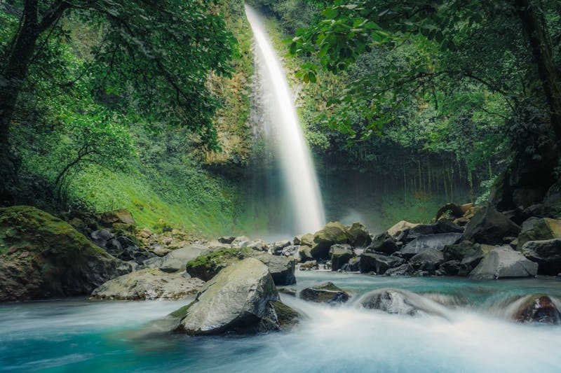 Waterfall cascading into a tropical pool surrounded by lush rainforest.