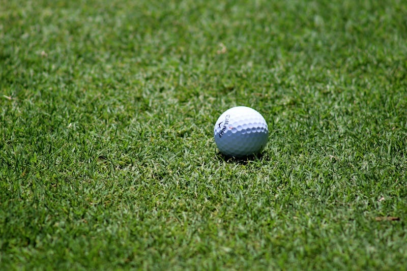 Golf ball positioned on a manicured green near the hole.