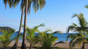 beach in costa rica